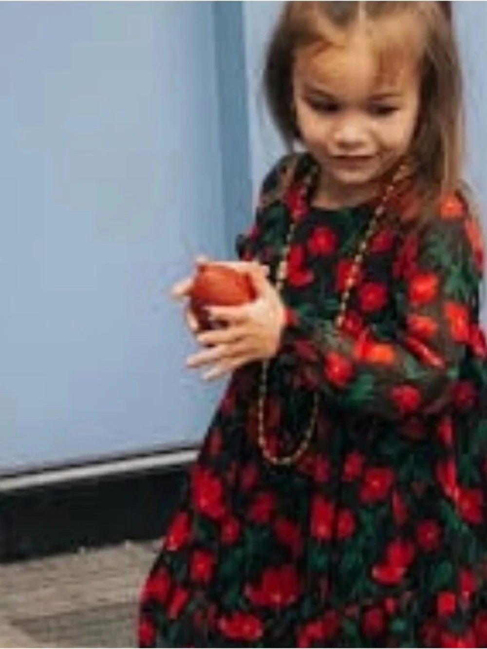 Carter's Child of Mine LS red and black floral chiffon toddler girl dress 2T 2A